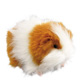 Electronic Pets logo