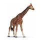 Safari logo