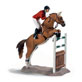 Horses logo