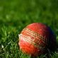 Cricket logo