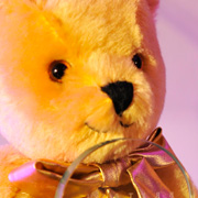 A Golden Teddy Award